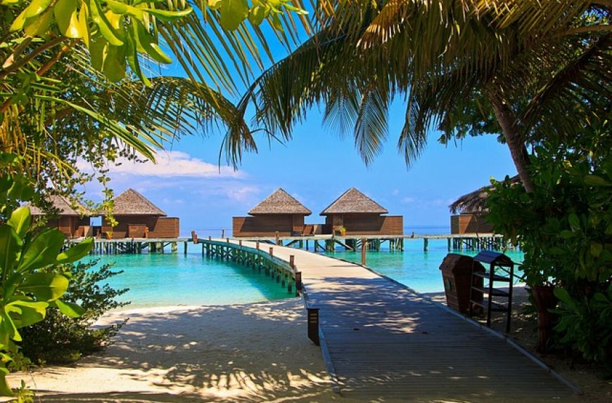 Maldive Maldive